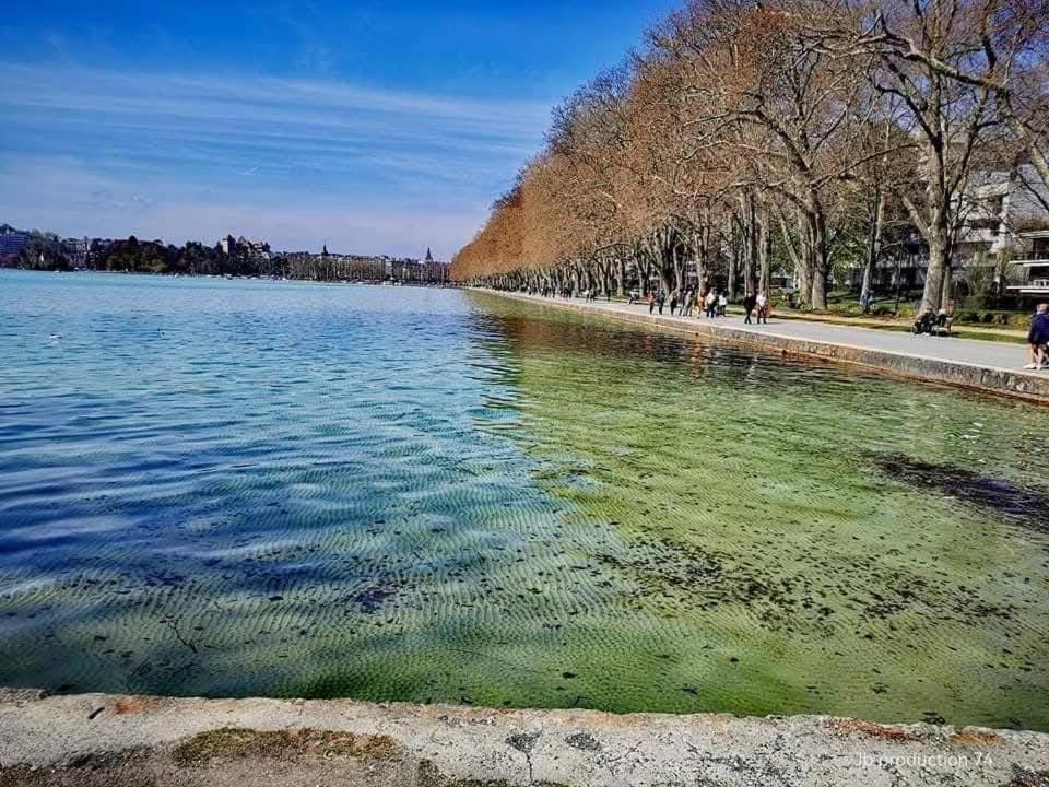 Apartment La Petite Venise Des Alpes, Ultra Centre 1 A 5 Pers Annecy